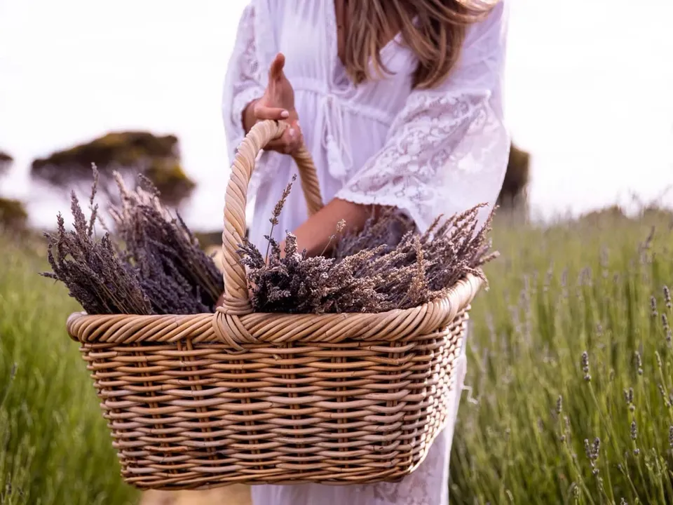 Meet the producers dining experience