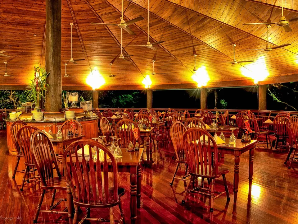 Ospreys Restaurant, dining amongst the treetops