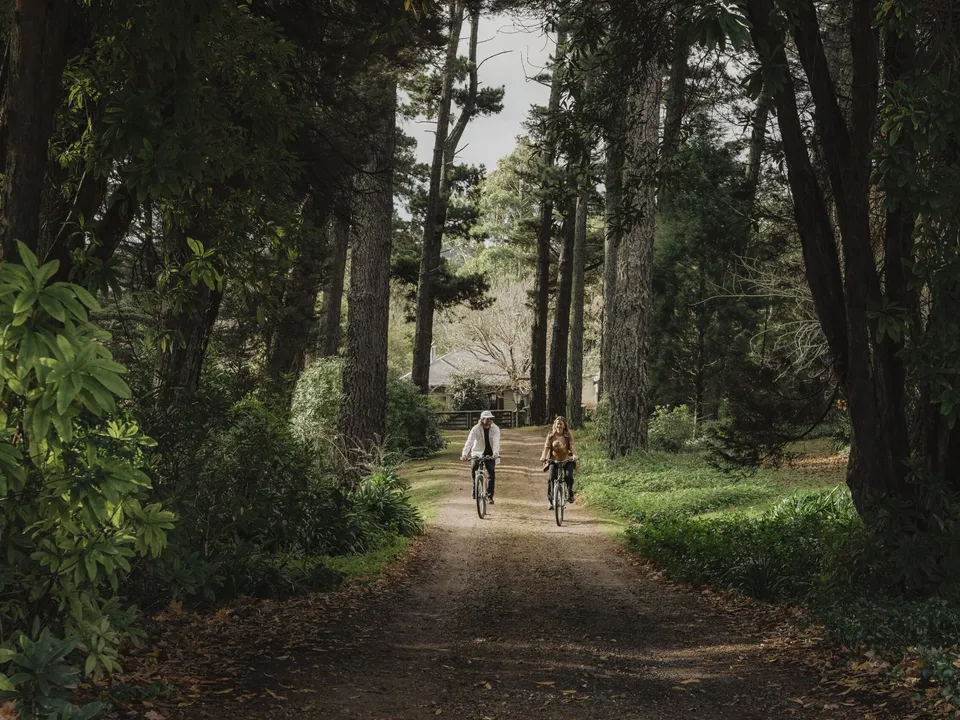 Cycling through the tree-lined grounds of Osborn House