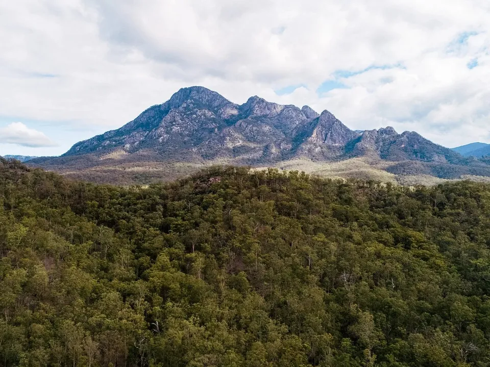 Mount Barney rising above the surrounding bushland