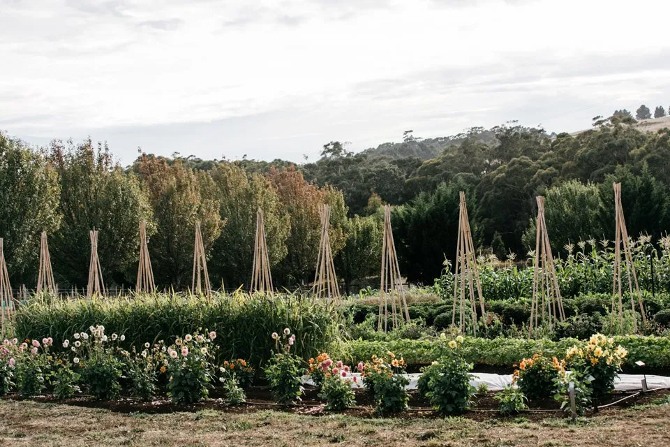 The productive gardens at Dairy Flat Farm, supplying the restaurant with seasonal produce