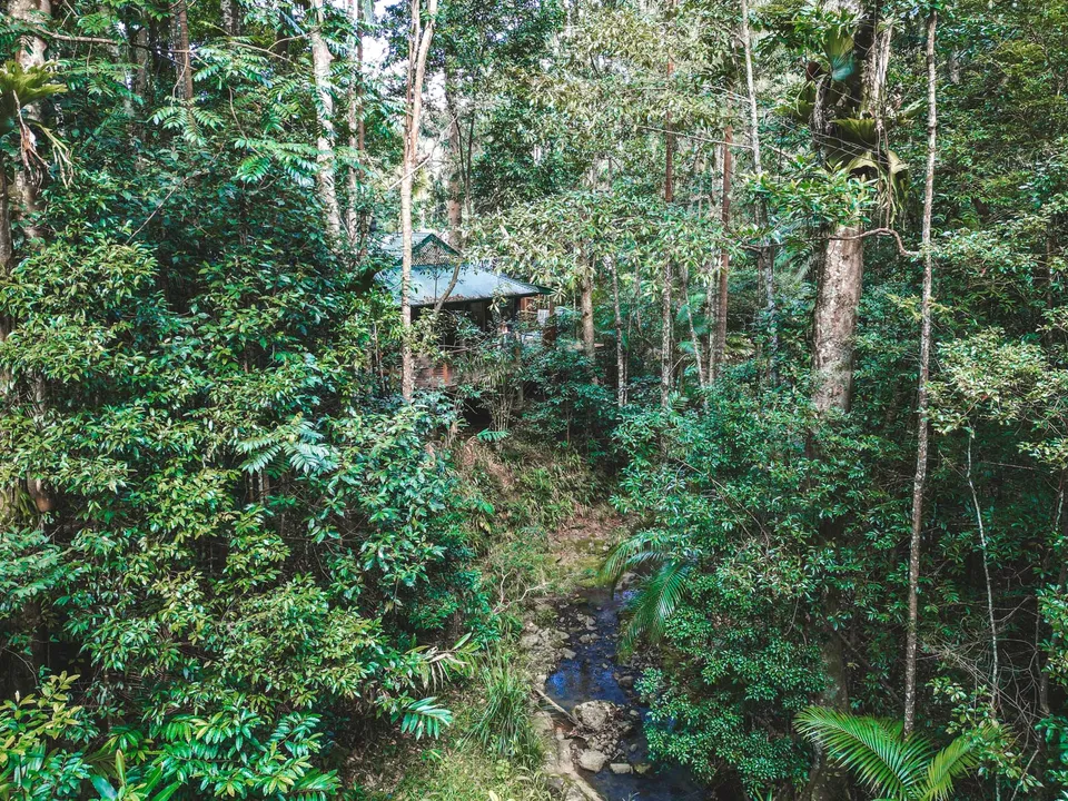A villa nestled in the rainforest canopy beside the creek