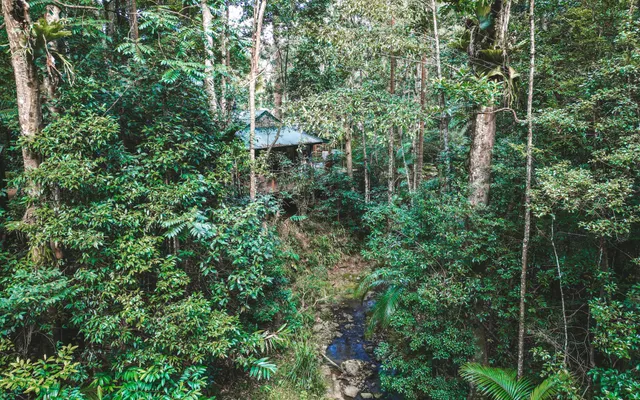Narrows Escape Rainforest Retreat