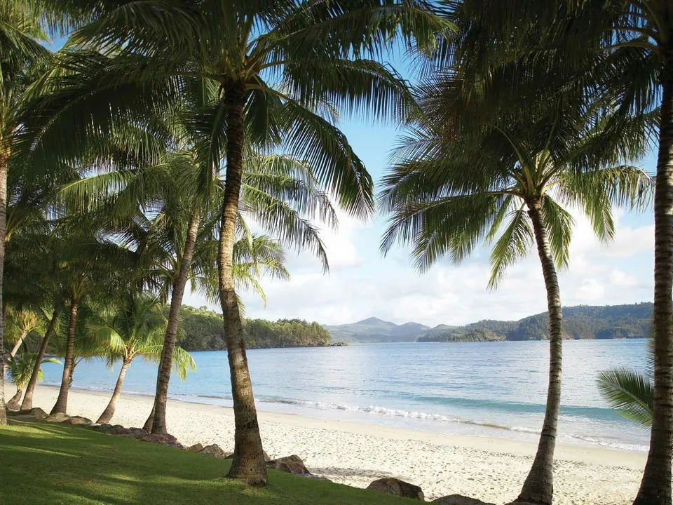 Catseye Beach through the palm trees