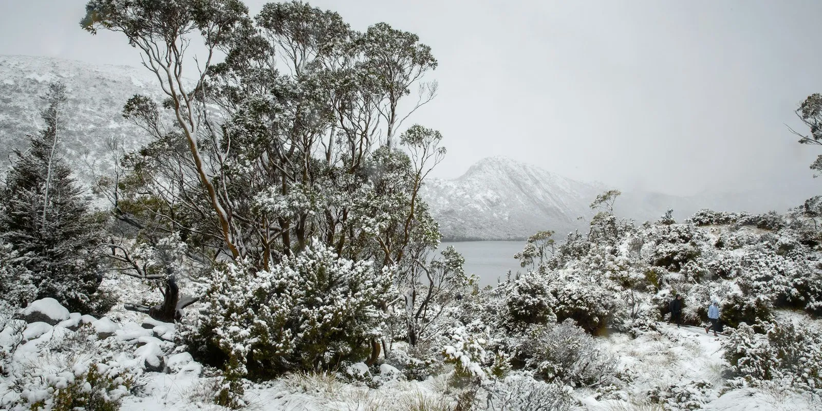 Cradle Mountain