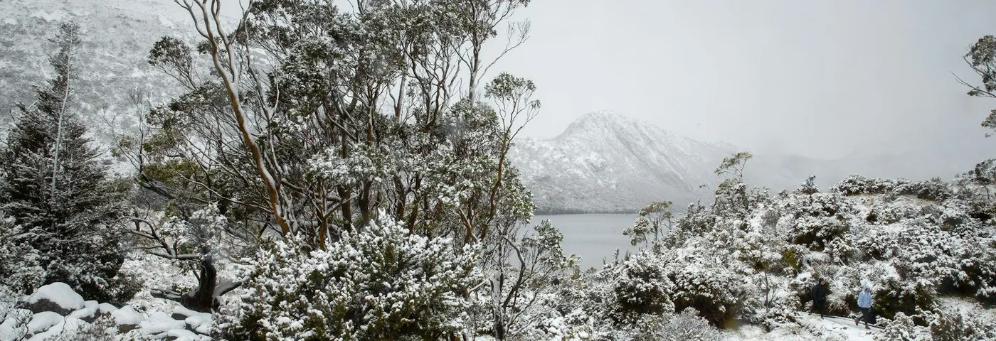 Cradle Mountain