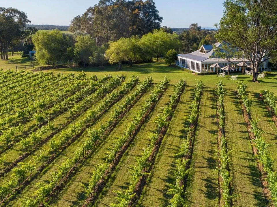 Spicers Vineyards Estate amid Hunter Valley vines