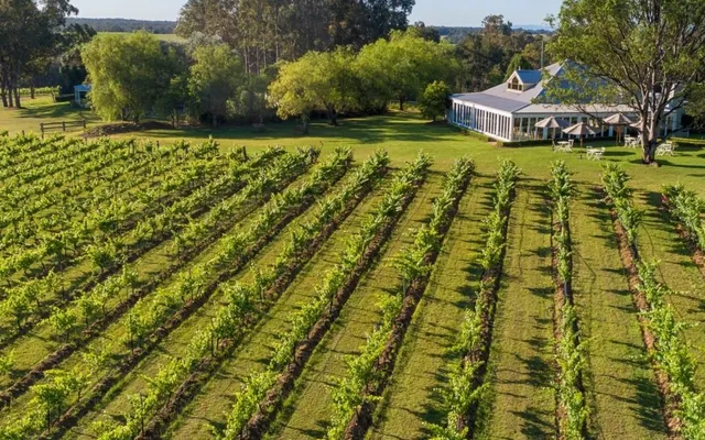 Spicers Vineyards Estate