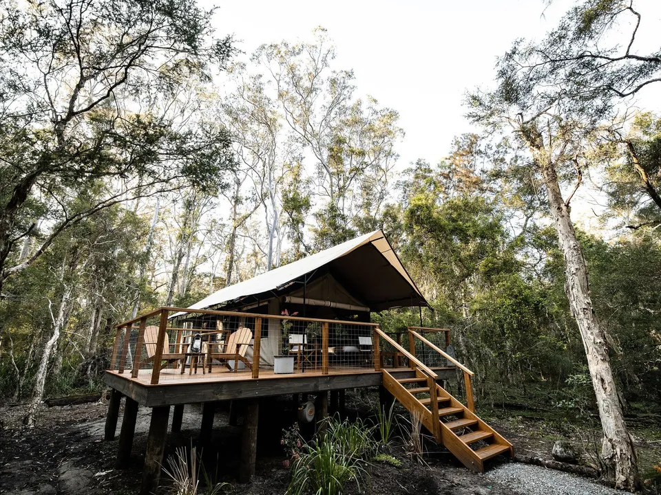 Deluxe Plus safari tent amid the bushland