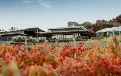 Balgownie Estate Vineyard Resort & Spa