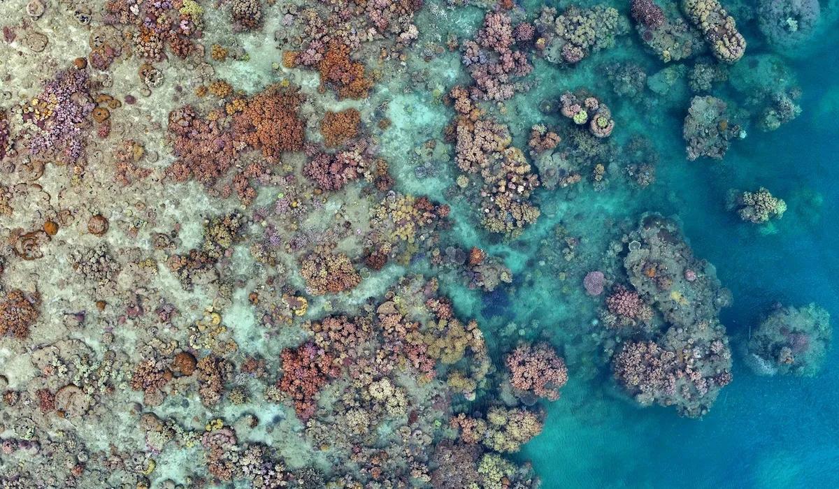 Aerial view of the Great Barrier Reef off the coast of Queensland