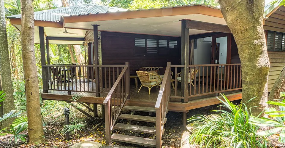 Kingfisher Suite nestled in the rainforest canopy