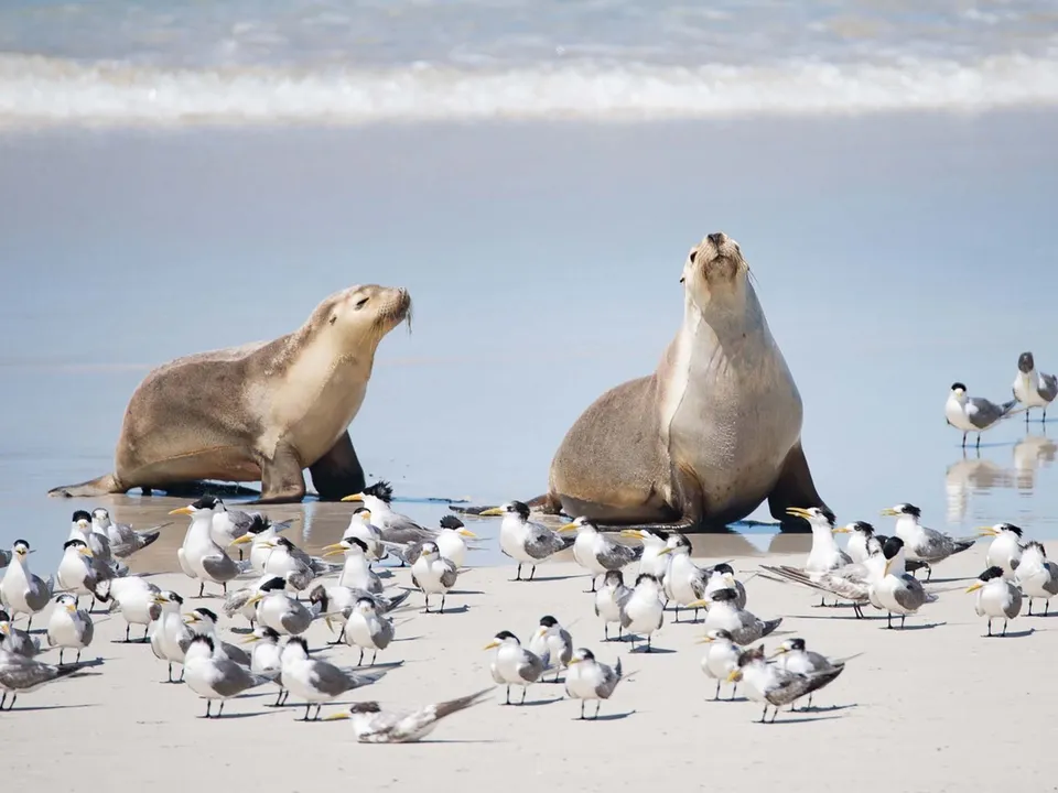 Southern Ocean welcome experience