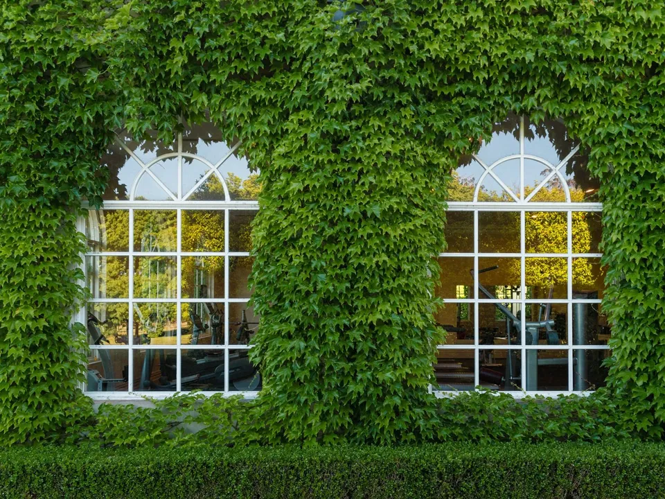 The wellness pavilion