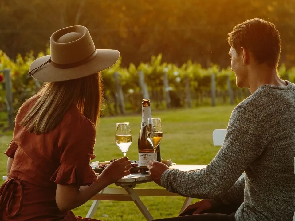 Vineyard views from the estate