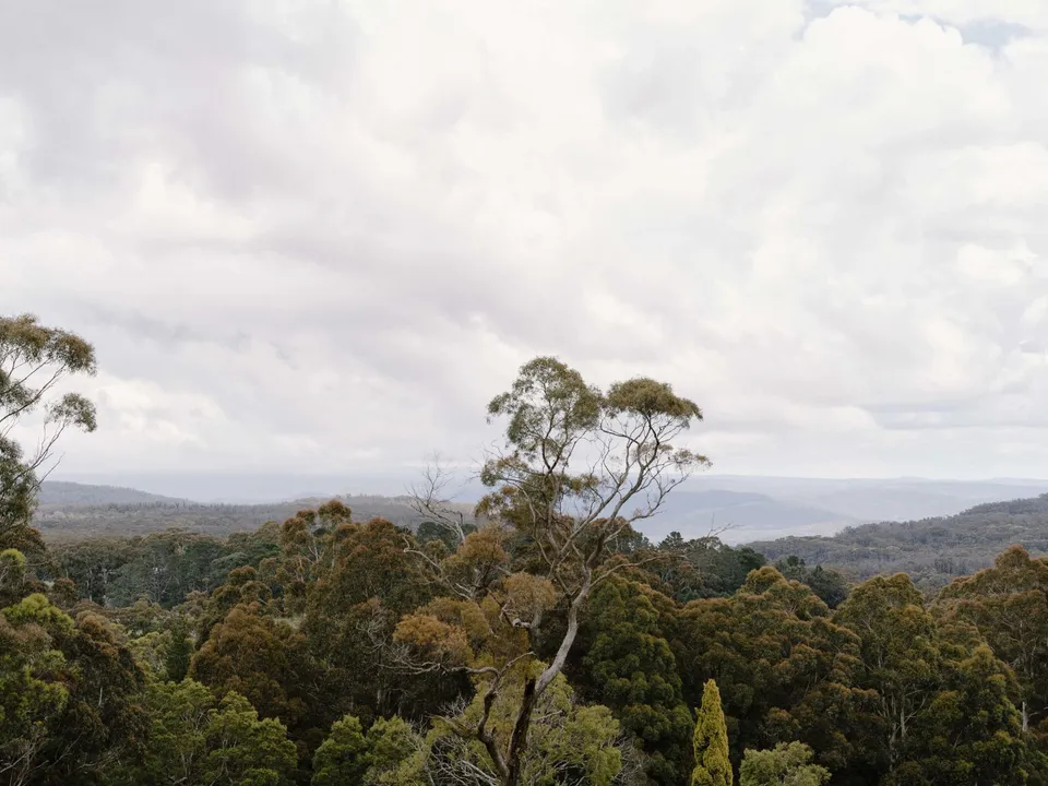 Views across the Southern Highlands bushland